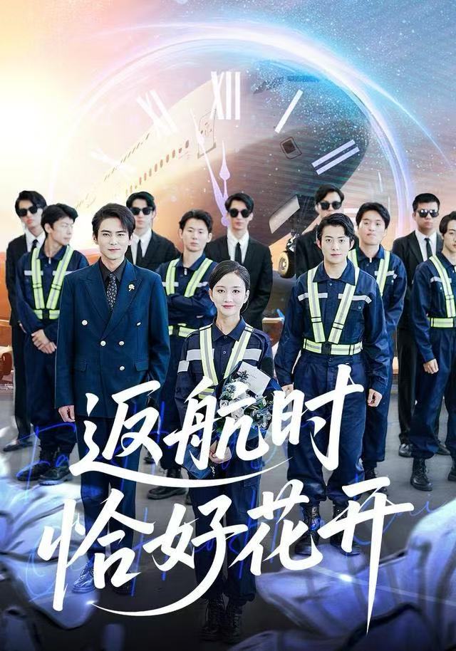 返航时恰好花开封面