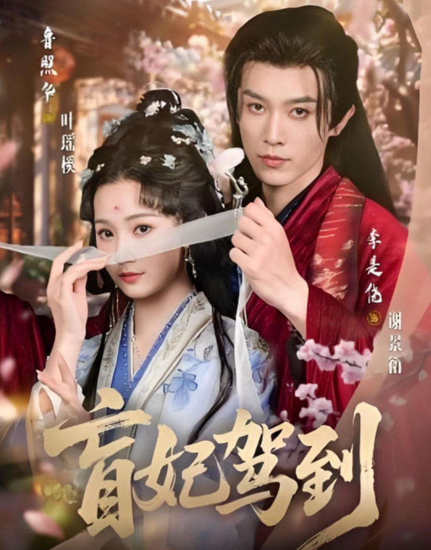 盲妃驾到封面
