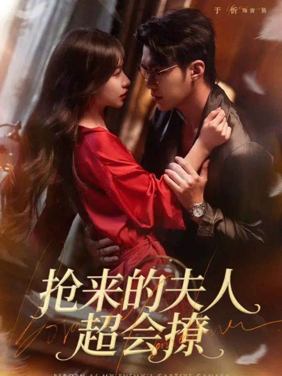 抢来的夫人超会撩封面