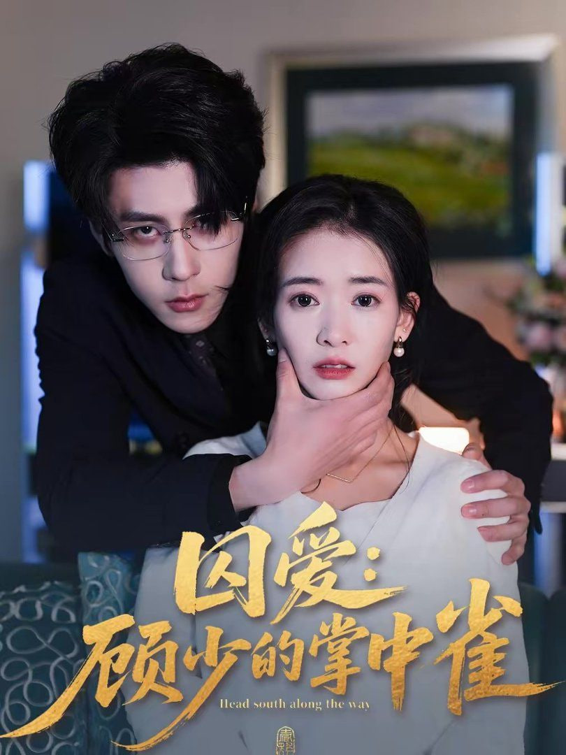 囚爱：顾少的掌中雀封面