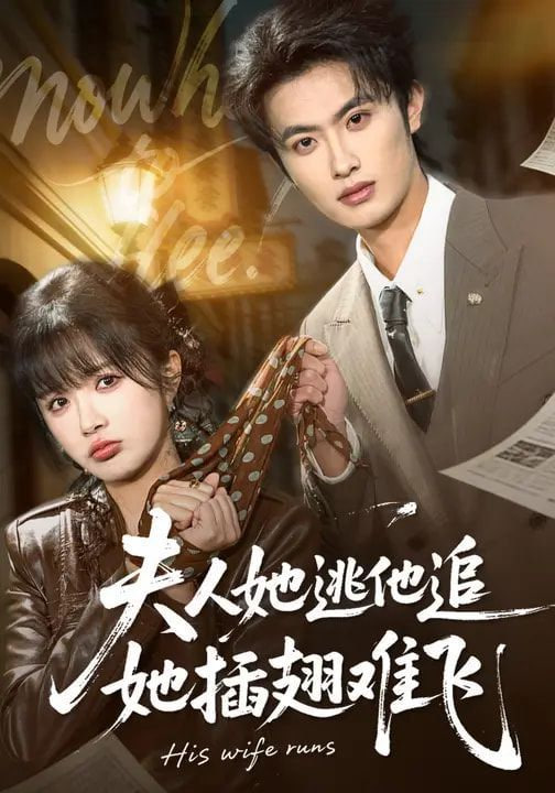 夫人她逃他追，她插翅难飞封面