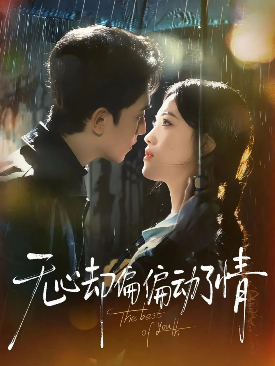 无心却偏偏动了情封面