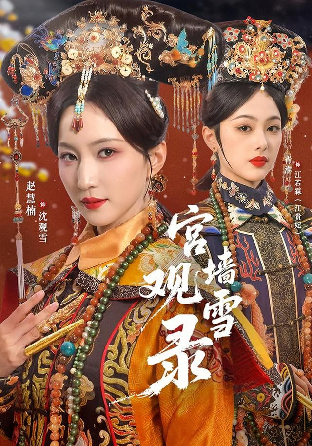 宫墙观雪录封面