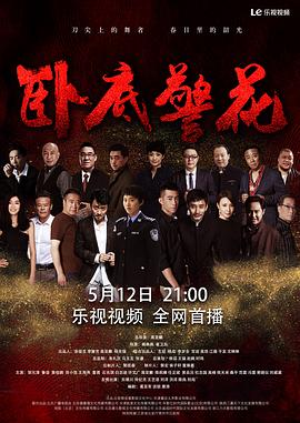 卧底警花封面
