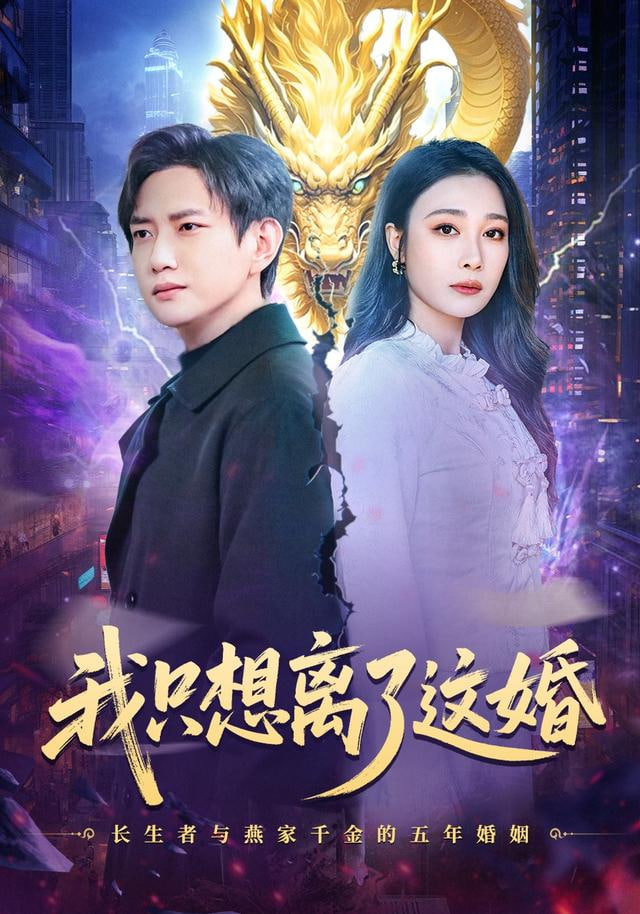 我只想离了这婚封面