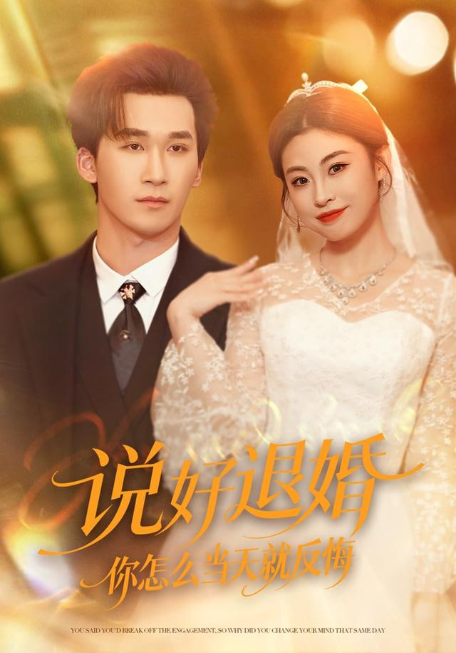 说好退婚你怎么当天就反悔封面