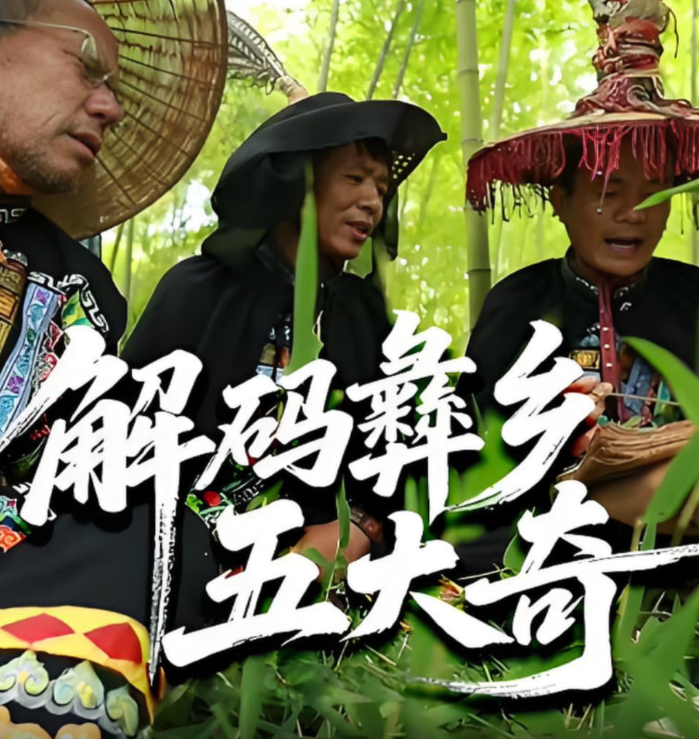 解码彝乡五大奇封面