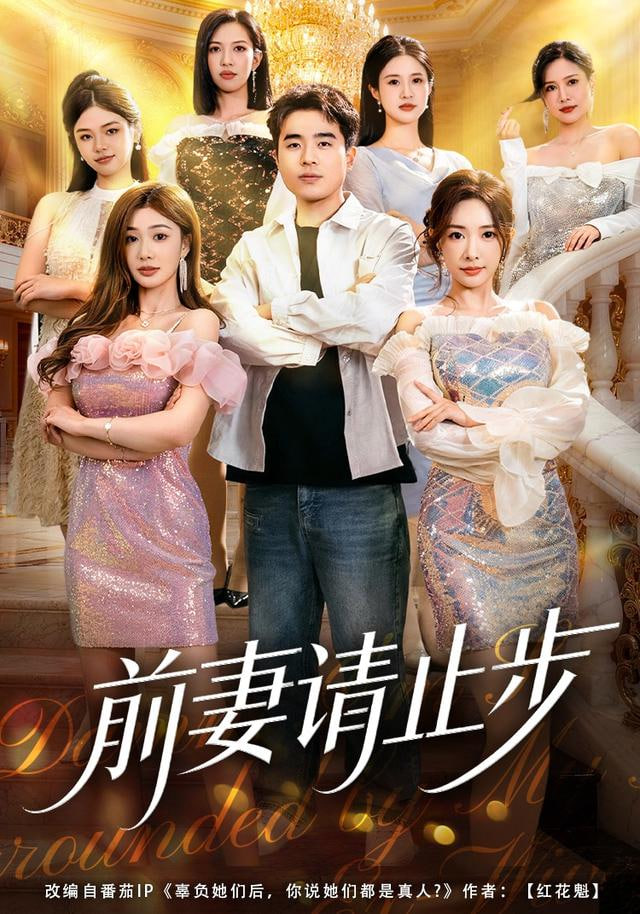 前妻请止步封面