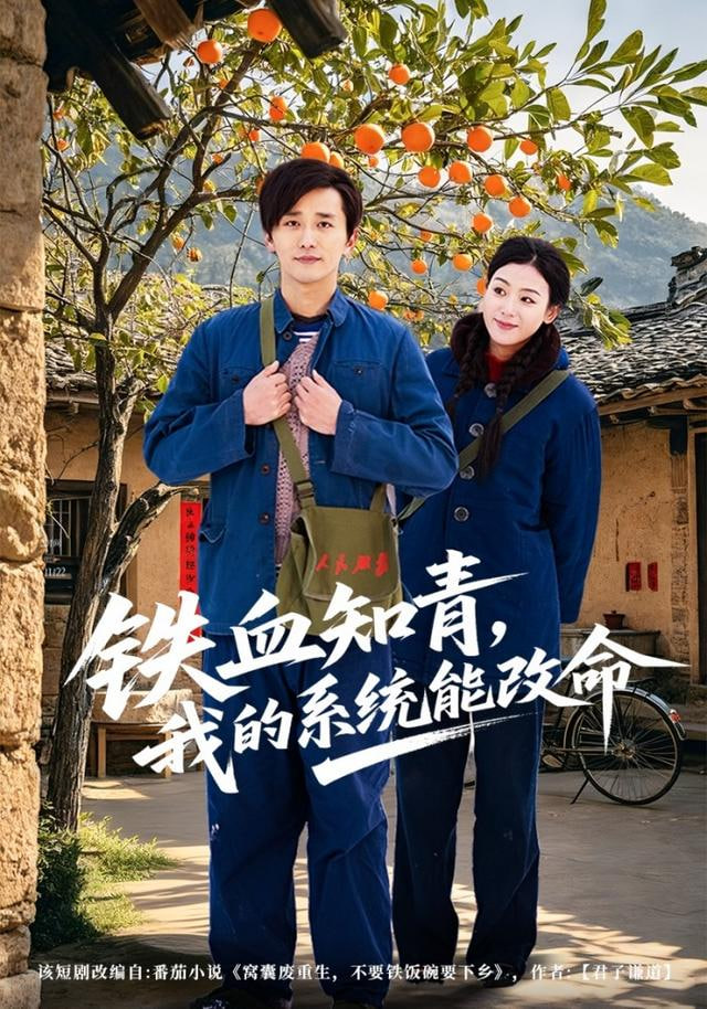 铁血知青，我的系统能改命封面