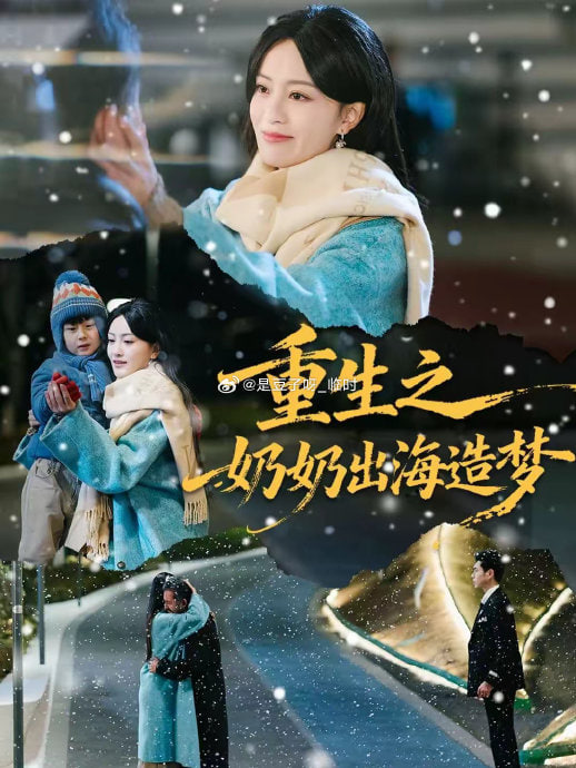 重生之奶奶出海造梦封面