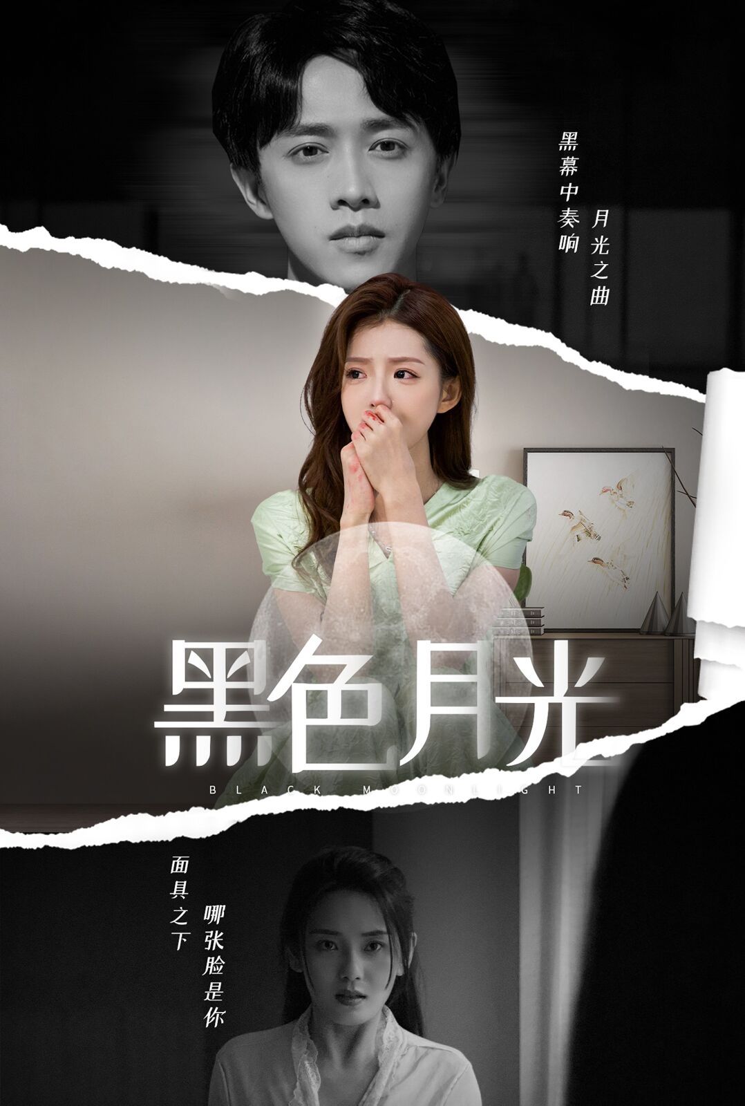 黑色月光封面