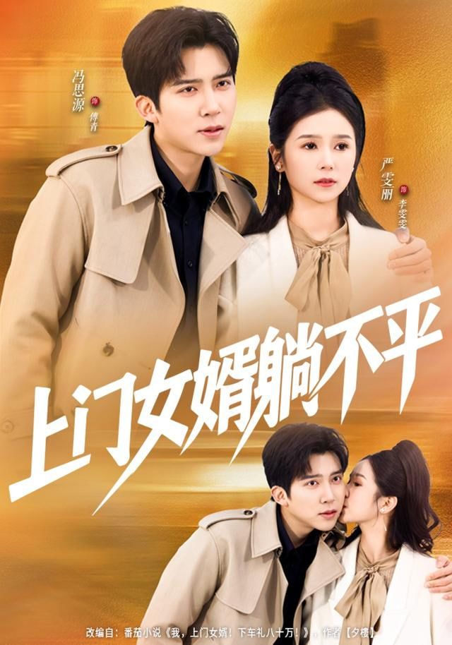 上门女婿躺不平封面