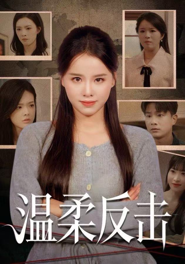 温柔反击封面