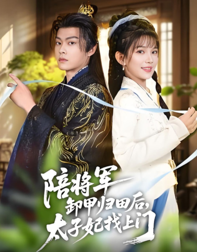 陪将军卸甲归田后，太子妃找上门封面