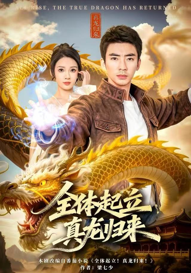 全体起立，真龙归来封面