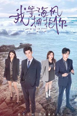我等海风拥抱你封面