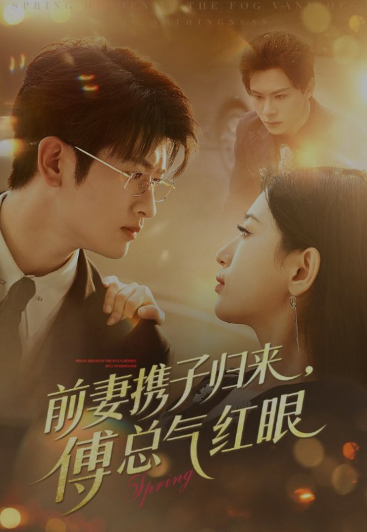 前妻携子归来傅总气红眼封面