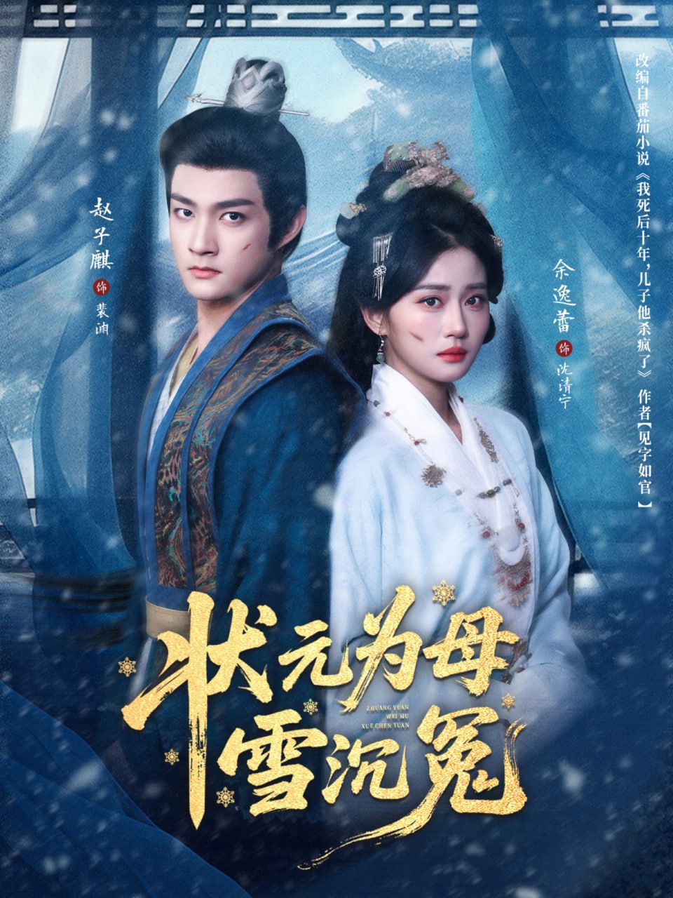 状元为母雪沉冤封面