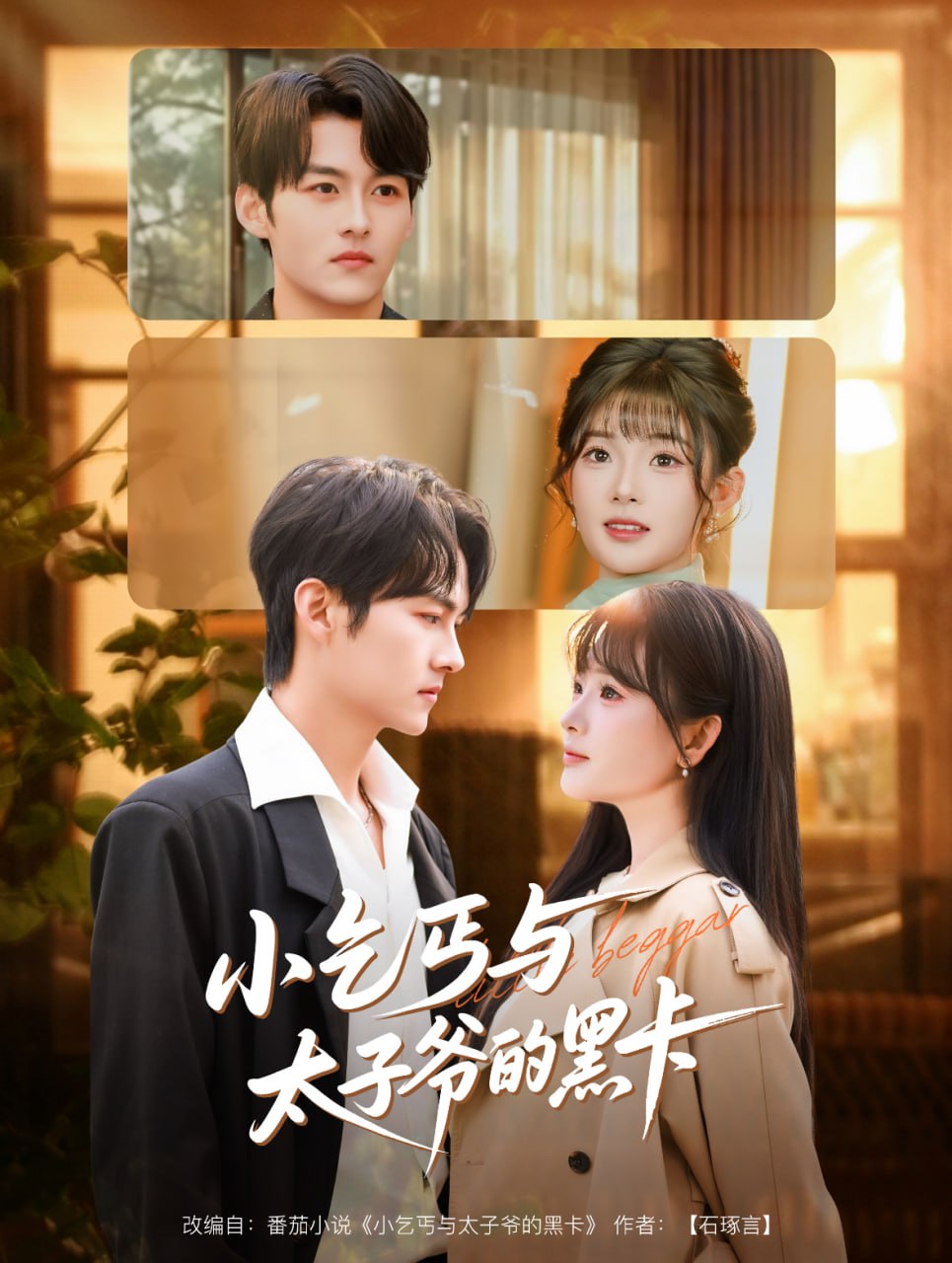 小乞丐与太子爷的黑卡封面