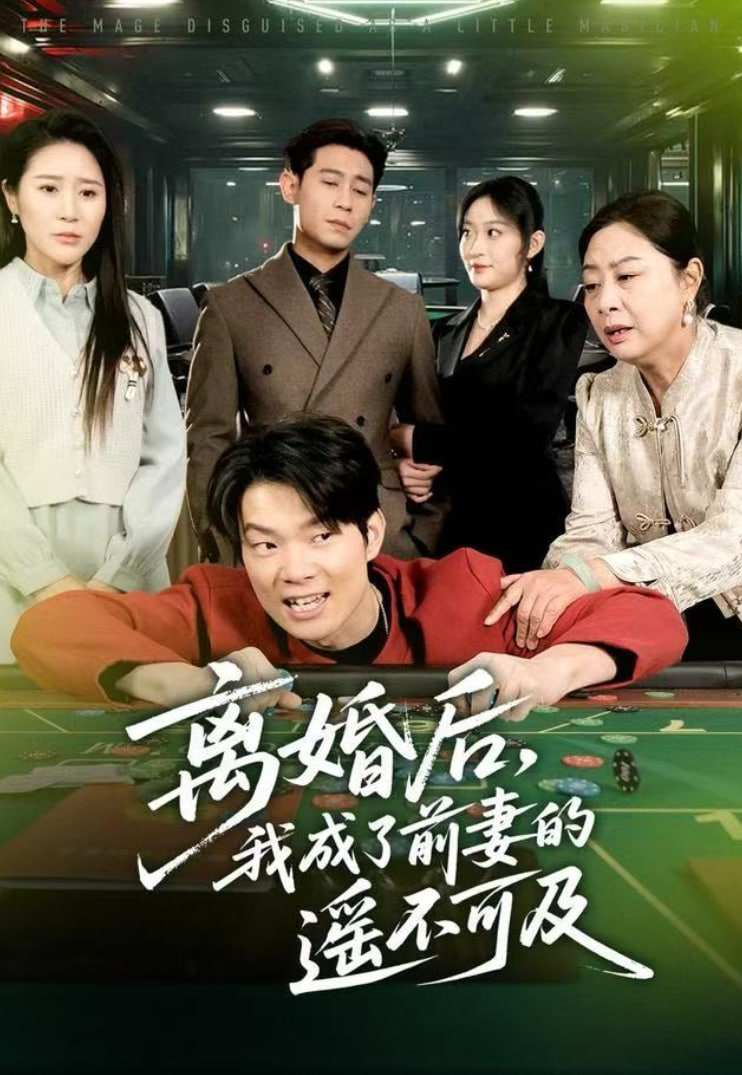 离婚后，我成了前妻的遥不可及封面