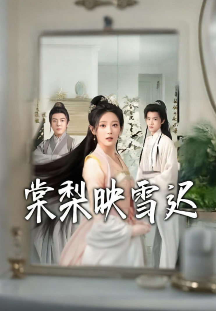 棠梨映雪迟封面