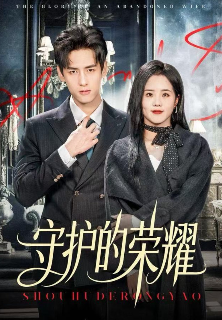 守护的荣耀封面