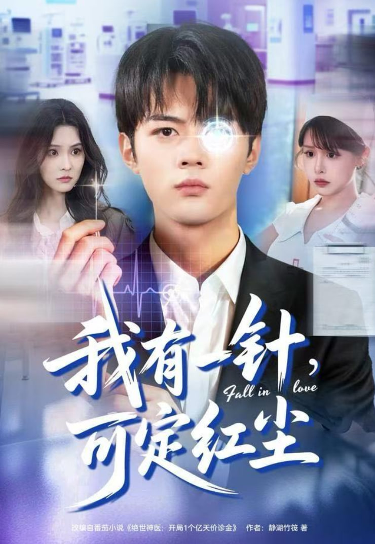 我有一针，可定红尘封面