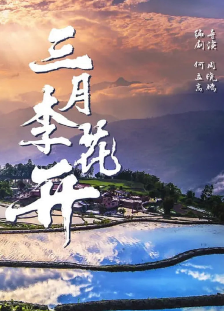 三月李花开封面