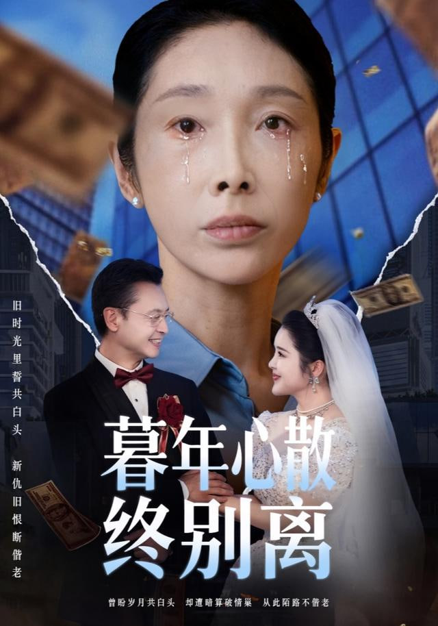 暮年心散终别离封面