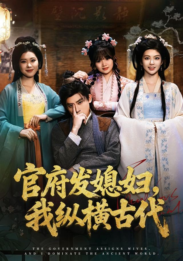 官府发媳妇，我纵横古代封面