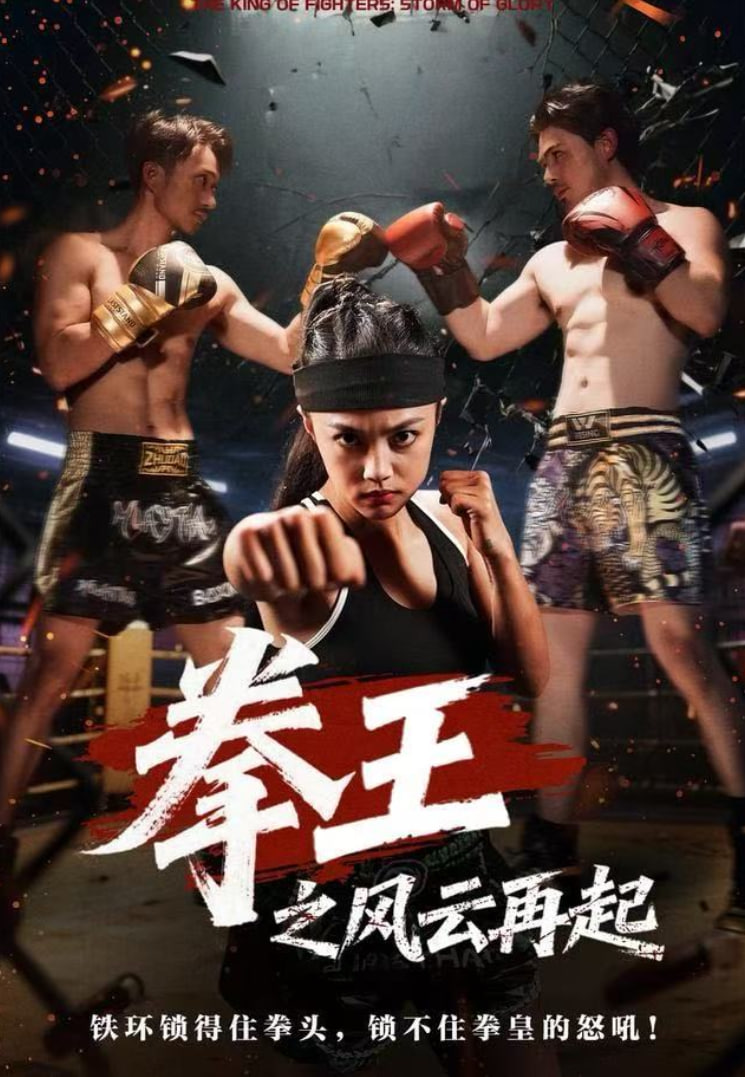 拳王之风云再起封面