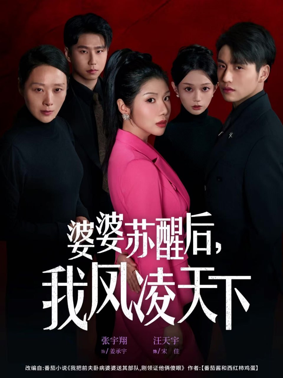 婆婆苏醒后，我凤凌天下封面