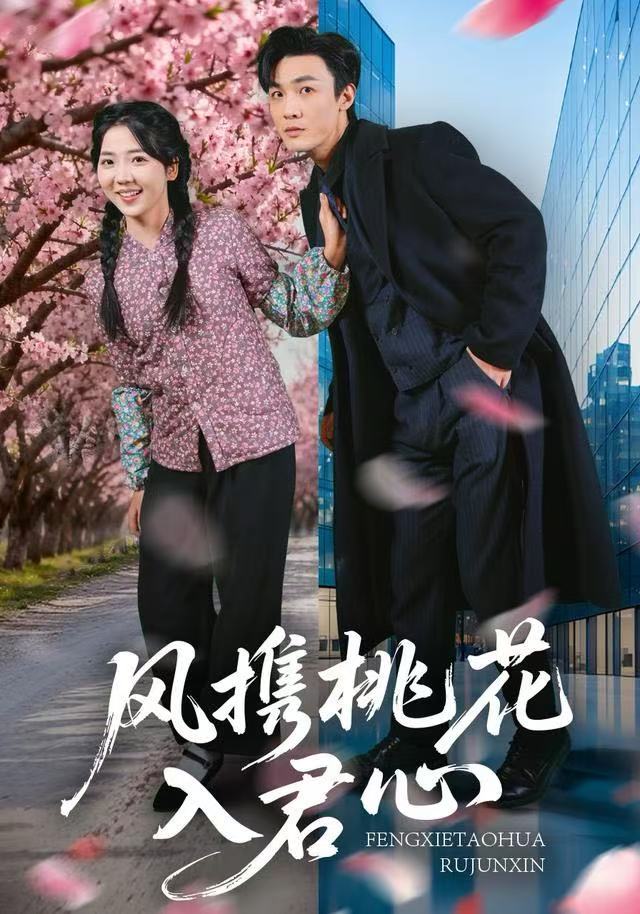 风携桃花入君心封面