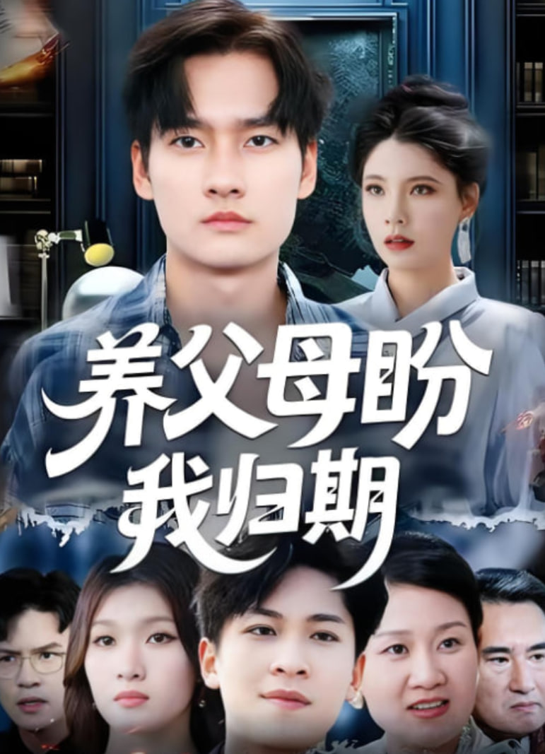 养父母盼我归期封面