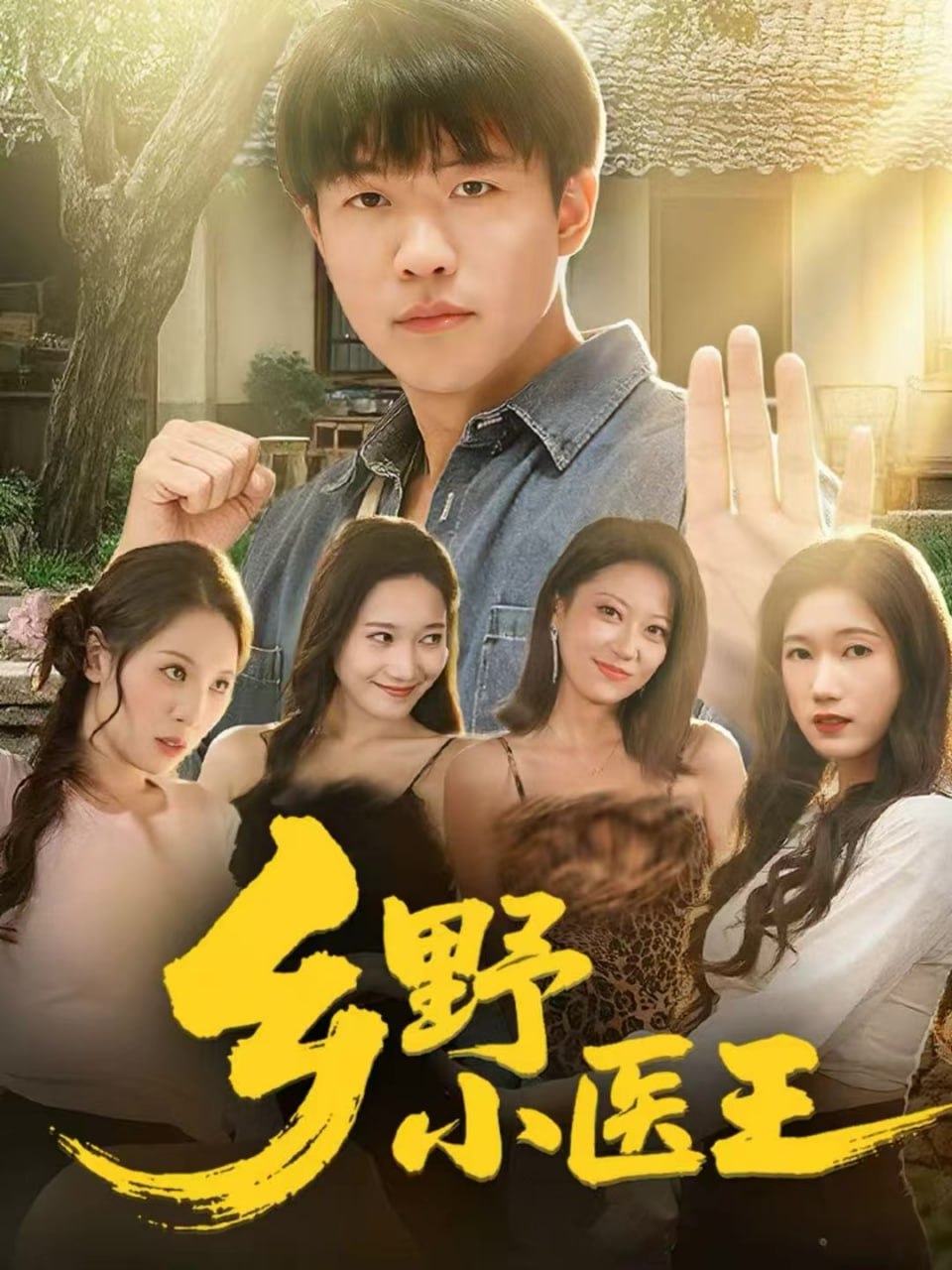 乡野小医王封面