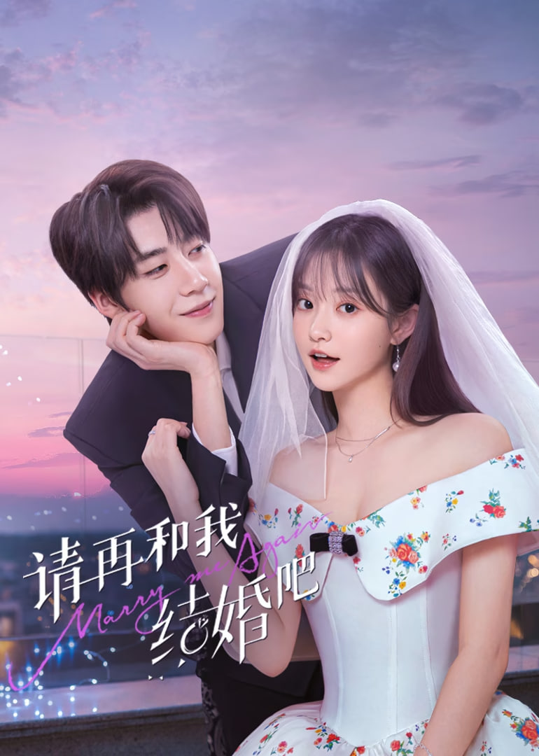请再和我结婚吧封面