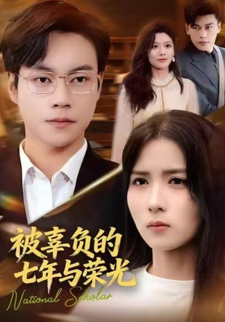 被辜负的七年与荣光封面