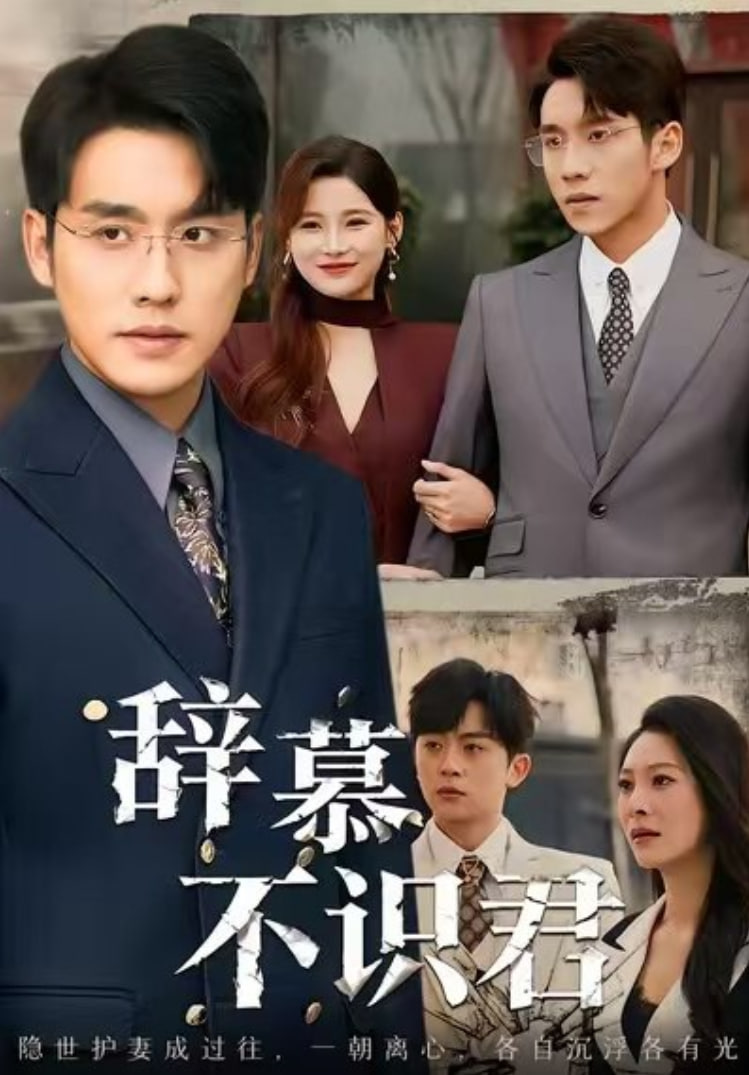 辞慕不识君(七年情深终成侮)封面