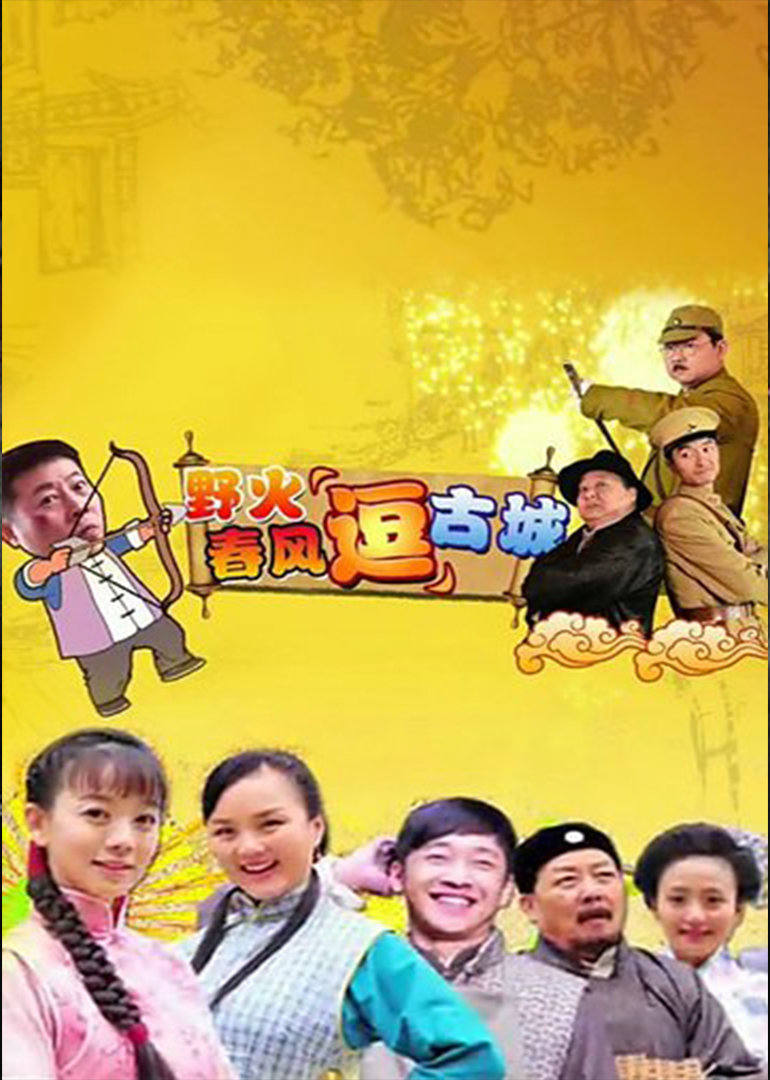 野火春风“逗”古城（TV版）封面