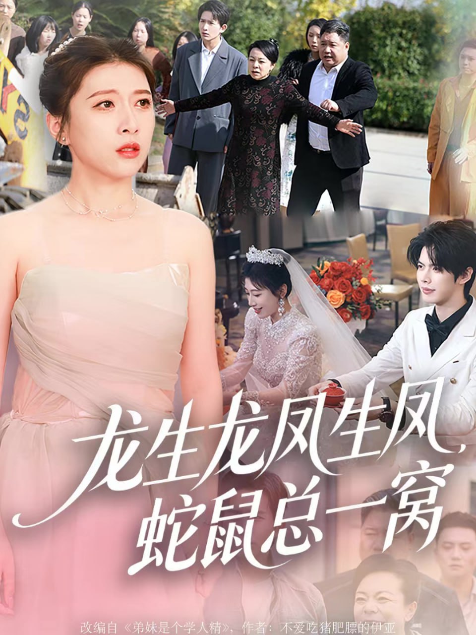 龙生龙凤生凤，蛇鼠总一窝封面