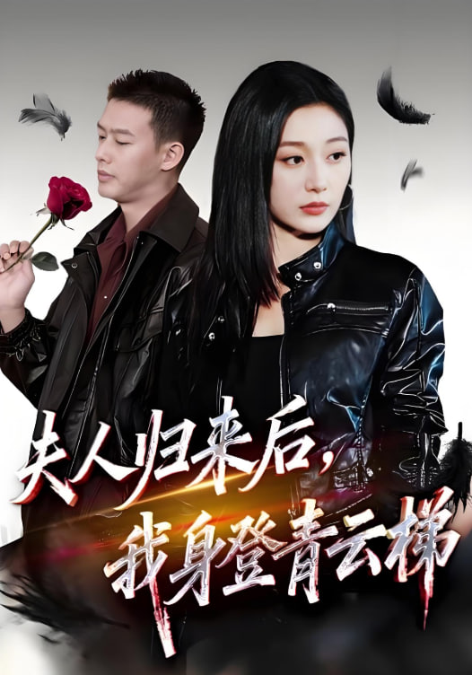 夫人归来后我身登青云梯（夫人助我踏巅峰）封面