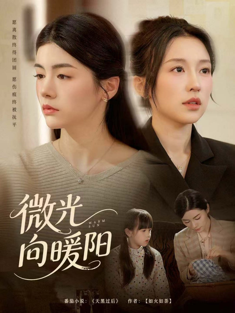 微光向暖阳封面