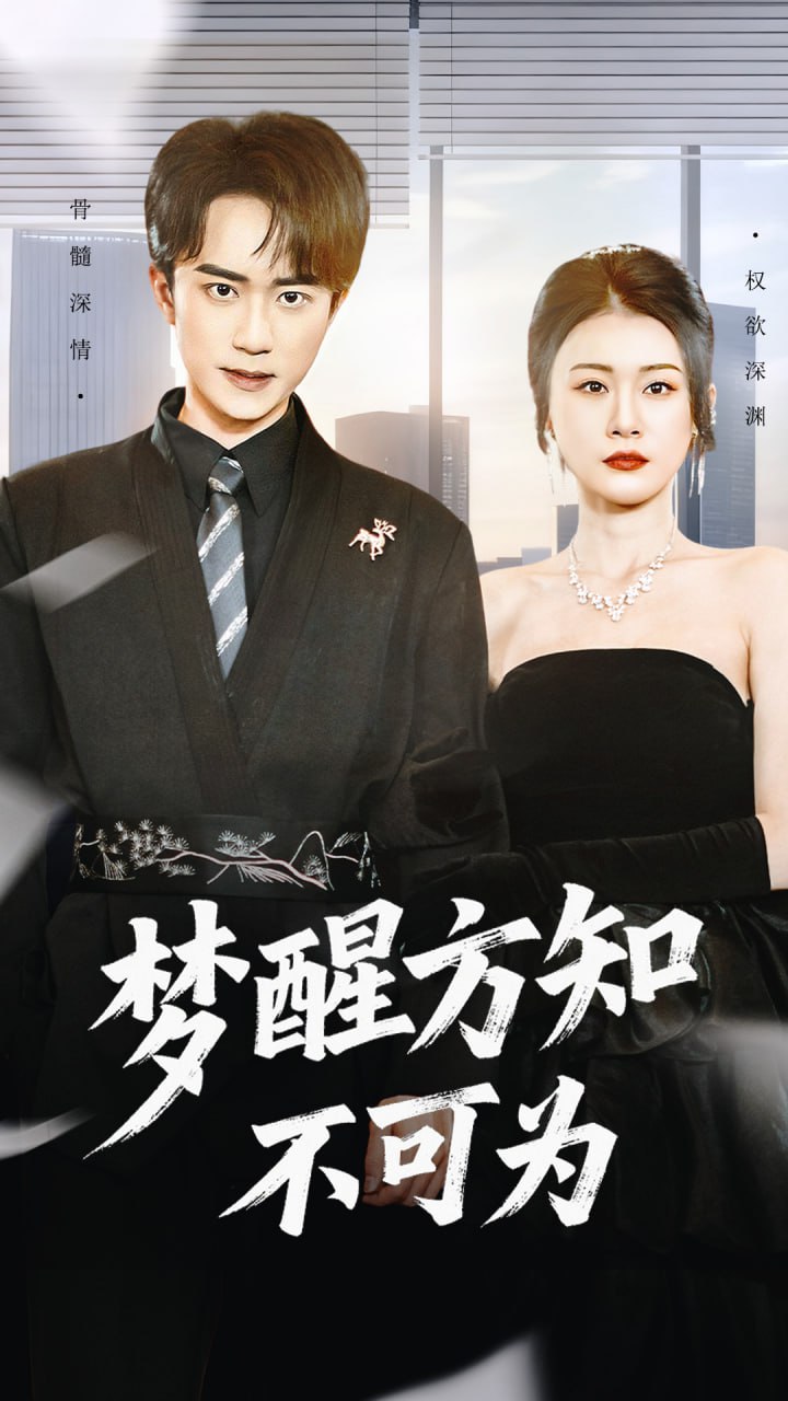 梦醒方知不可为封面