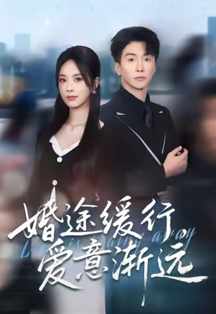 婚途缓行，爱意渐远封面
