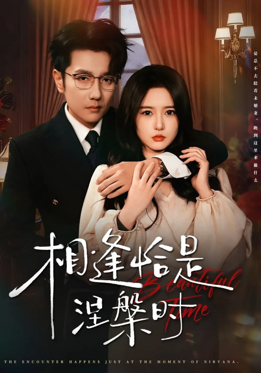 相逢恰是涅槃时封面