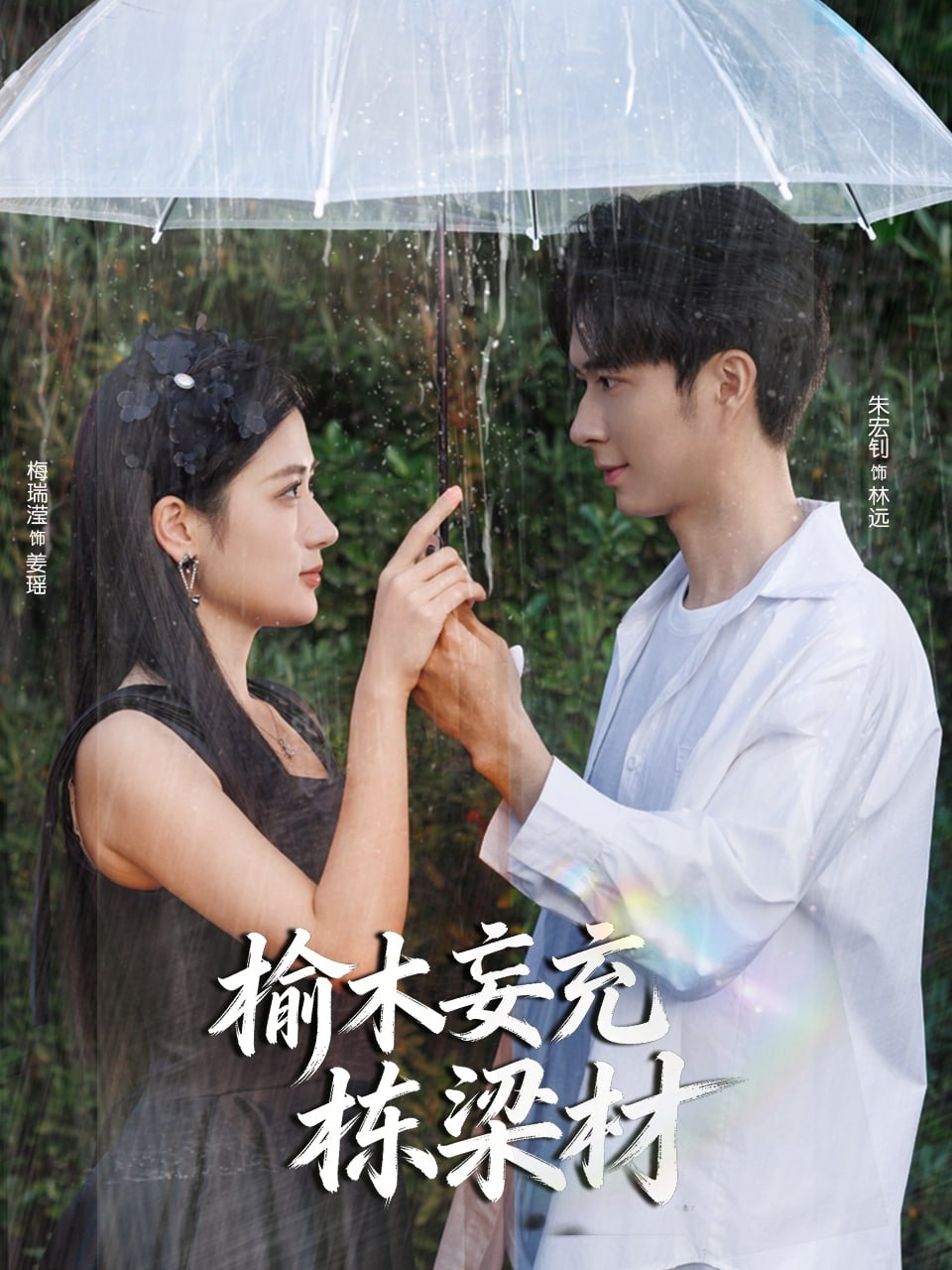 榆木妄充栋梁材封面