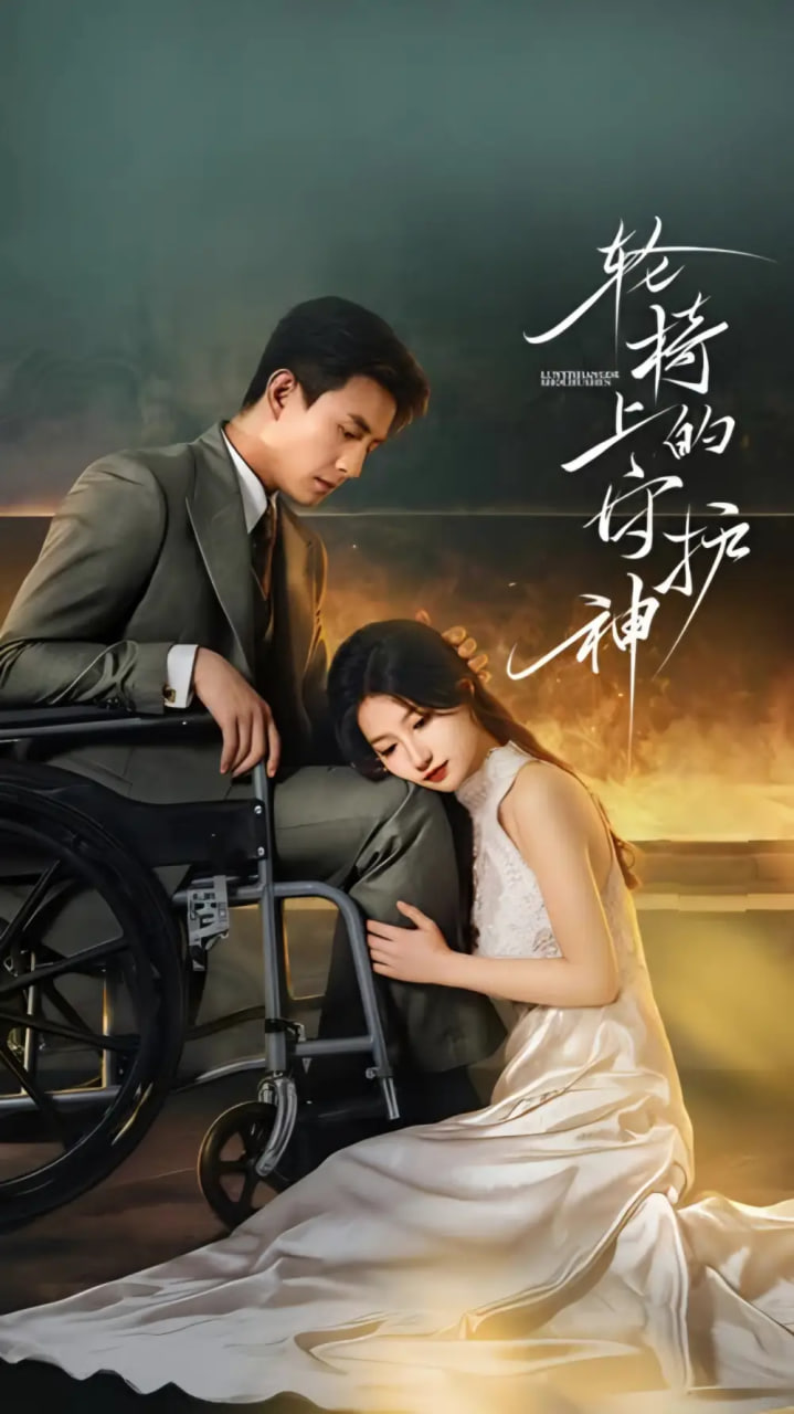 轮椅上的守护神封面