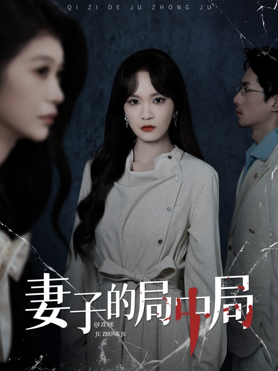 妻子的局中局封面