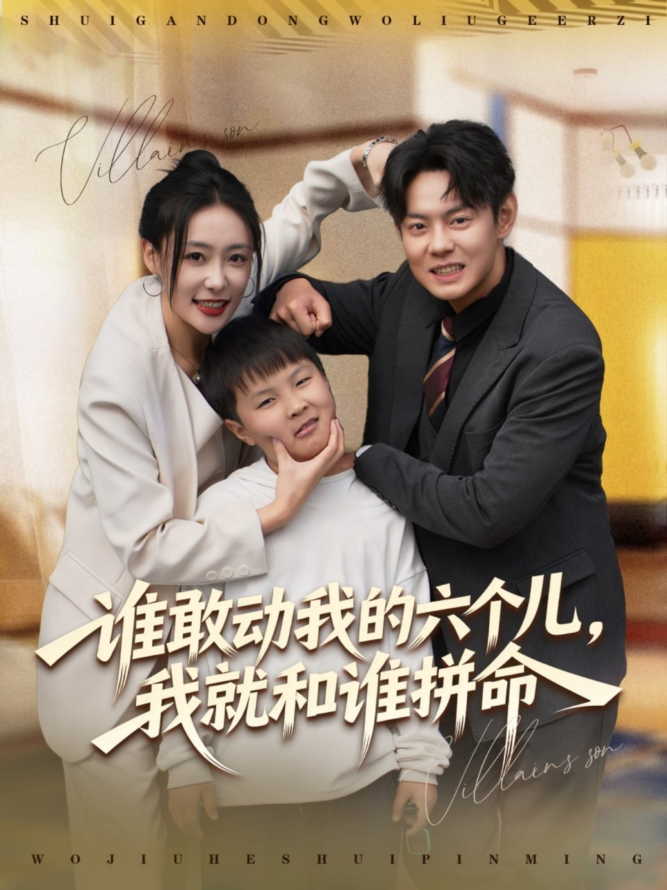 谁敢动我的六个儿，我就和谁拼命封面