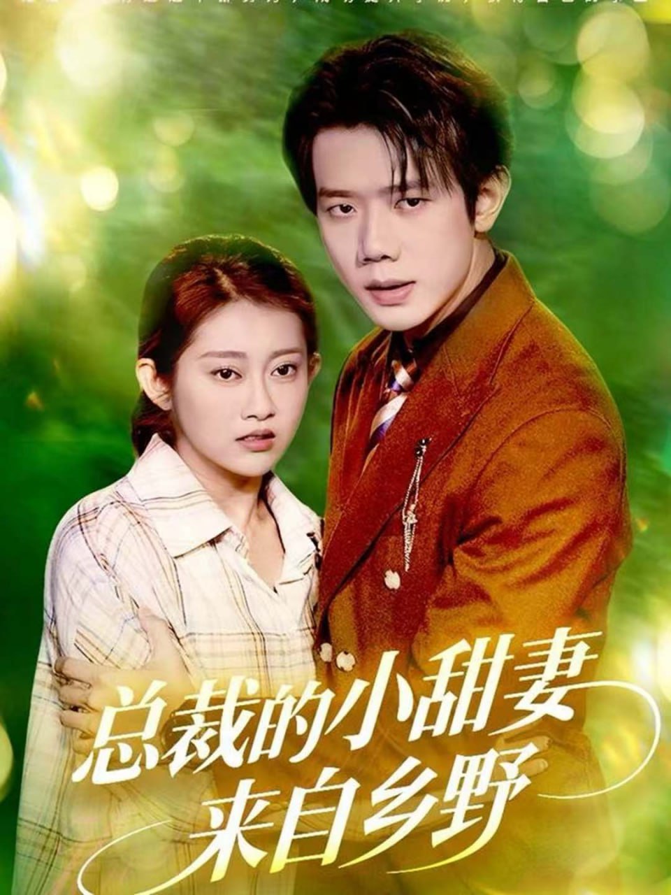 总裁的小甜妻来自乡野封面